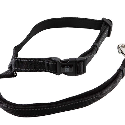 Seat Belt Leash In Black