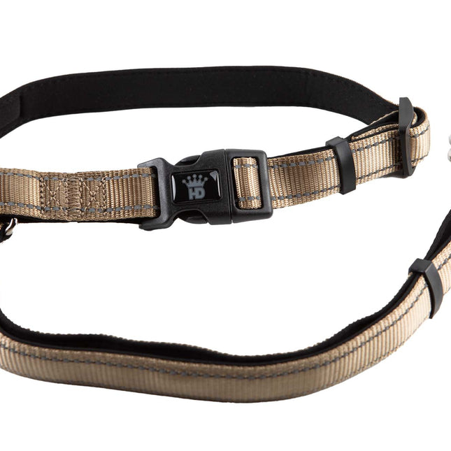 Seat Belt Leash In Tan