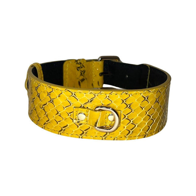 Mustard Yellow & Black Snake Classic Collar