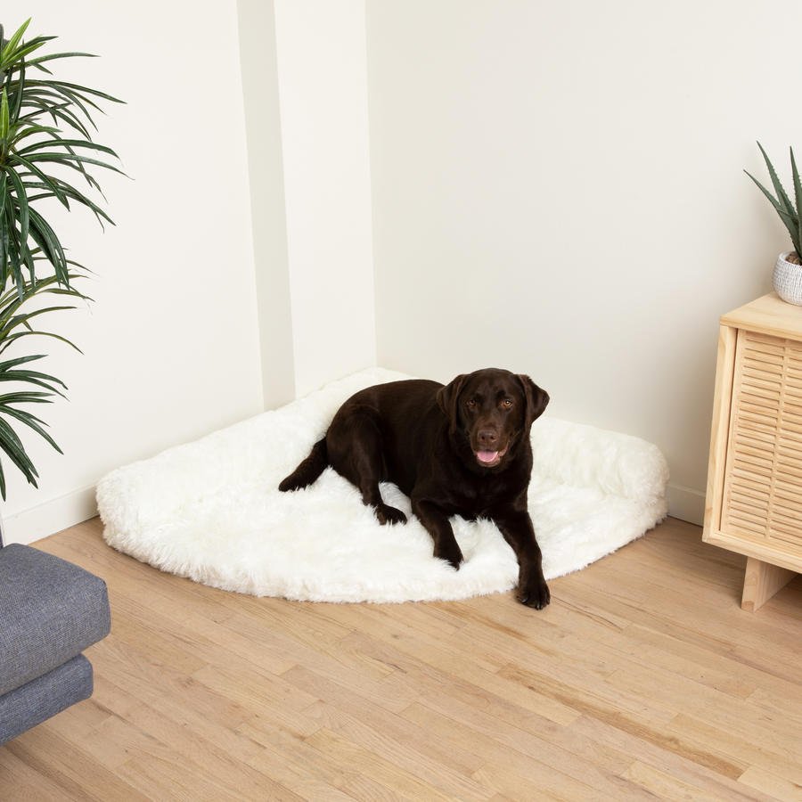 PupRug™ Memory Foam Corner Dog Bed - Polar White Paw.com