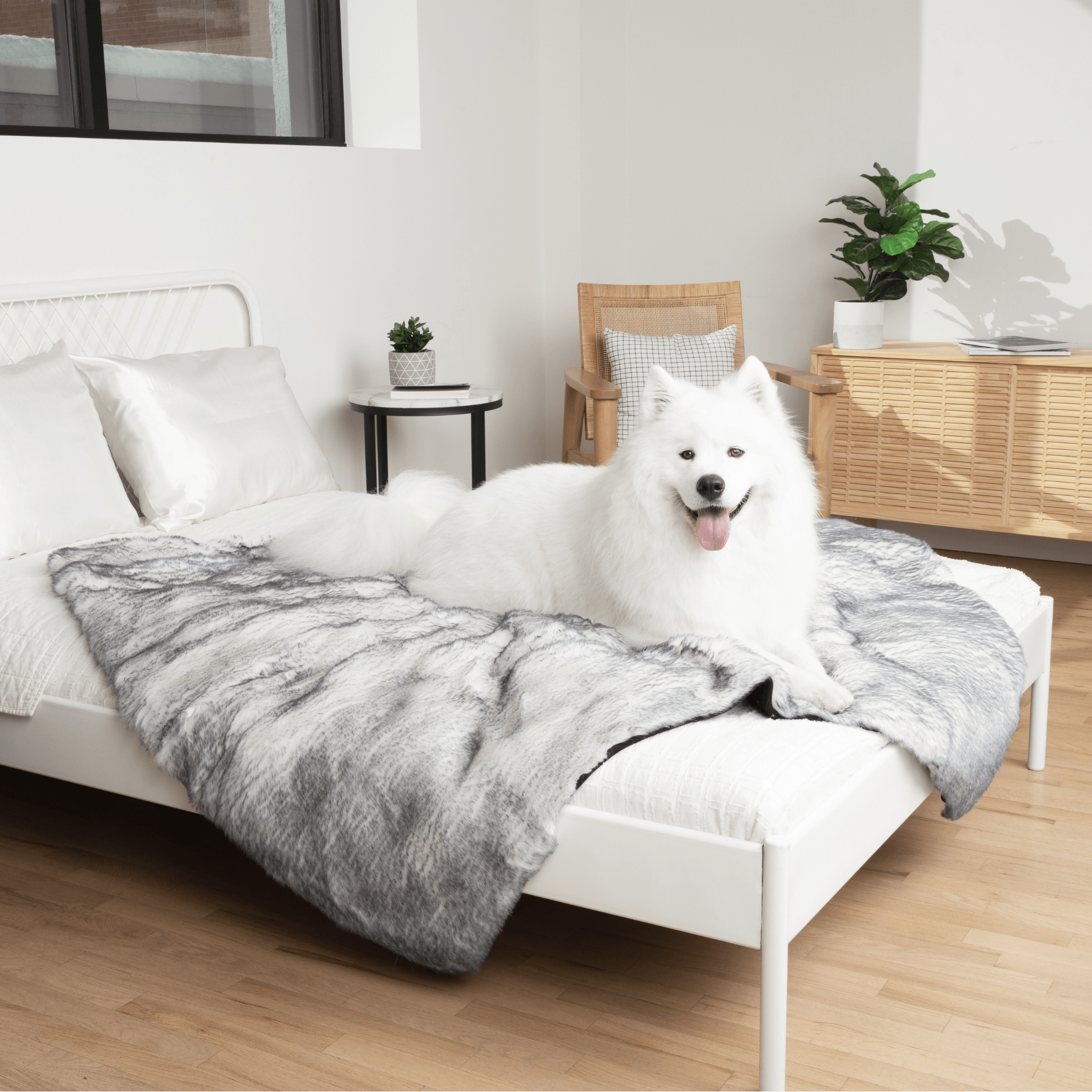 PupProtector Luxe Waterproof Faux Fur Blanket - Ultra Plush Arctic Fox Original (60