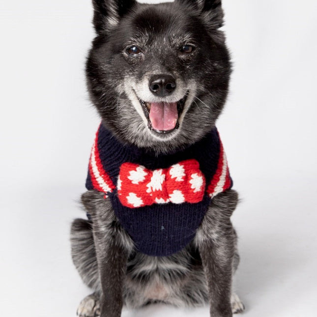 Bow Tie Sweater