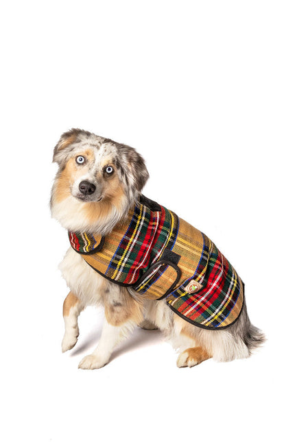 Tan Tartain Dog Coat