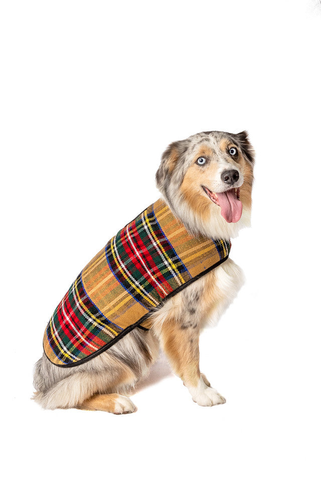 Tan Tartain Dog Coat