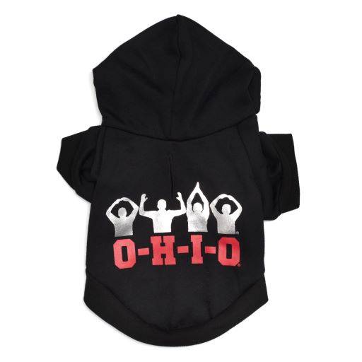 Ohio State O-H-I-O Silhouette Hoodie Default Title