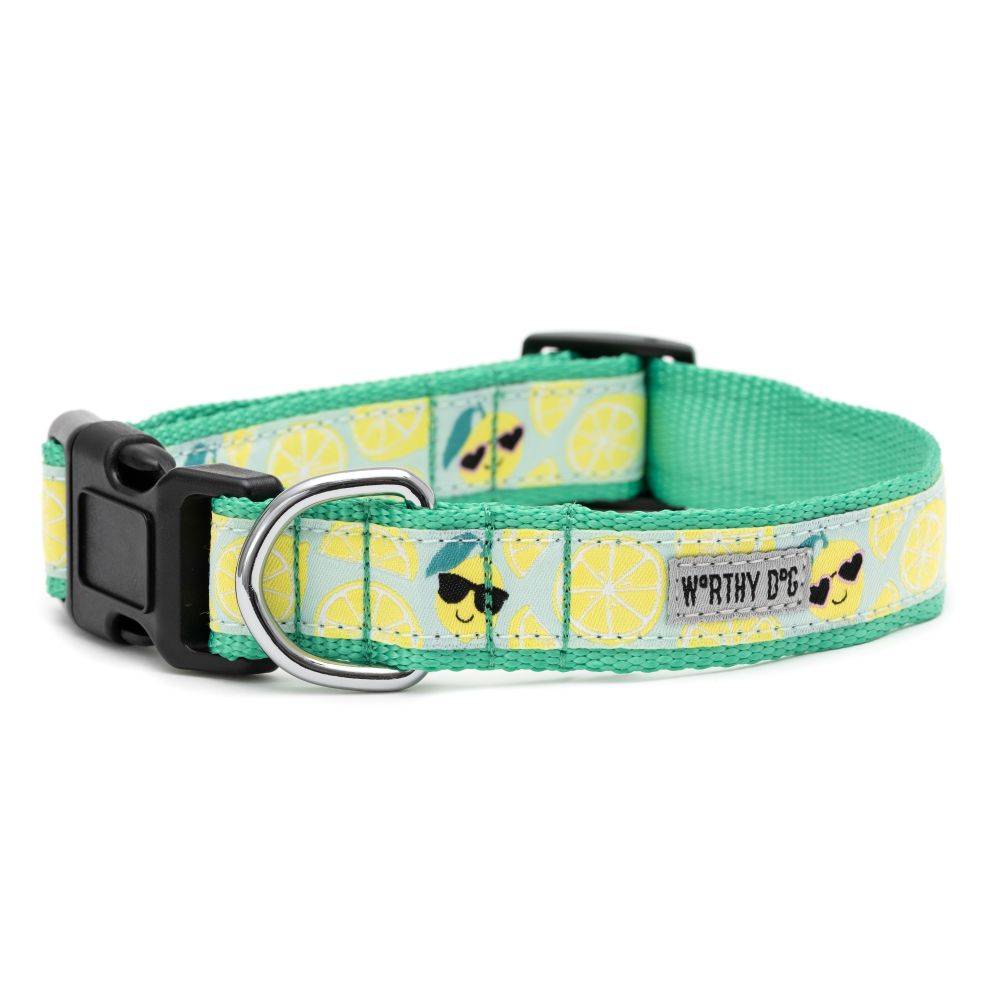 Lemons Collar & Lead Collection