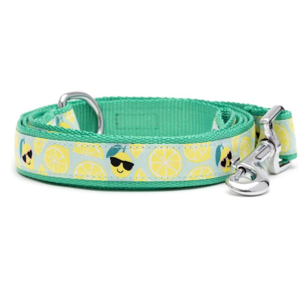 Lemons Collar & Lead Collection