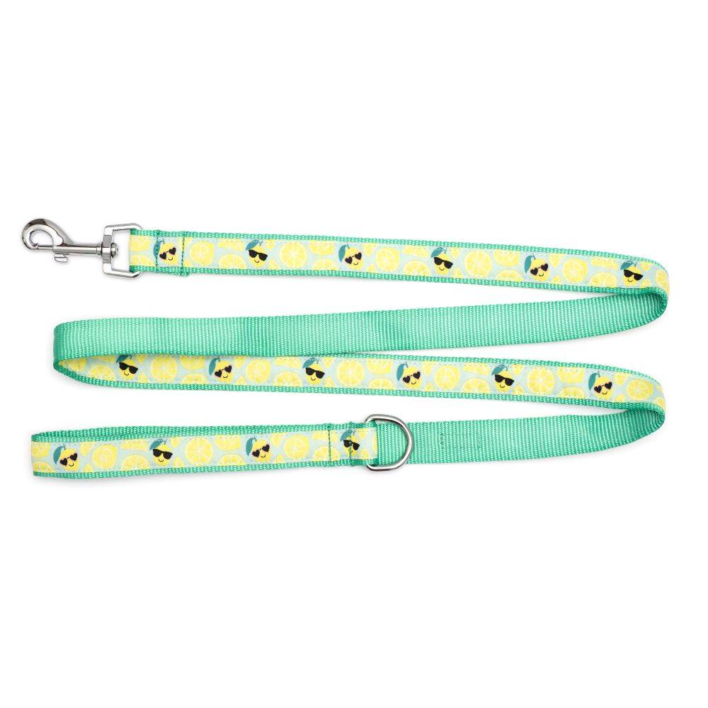 Lemons Collar & Lead Collection