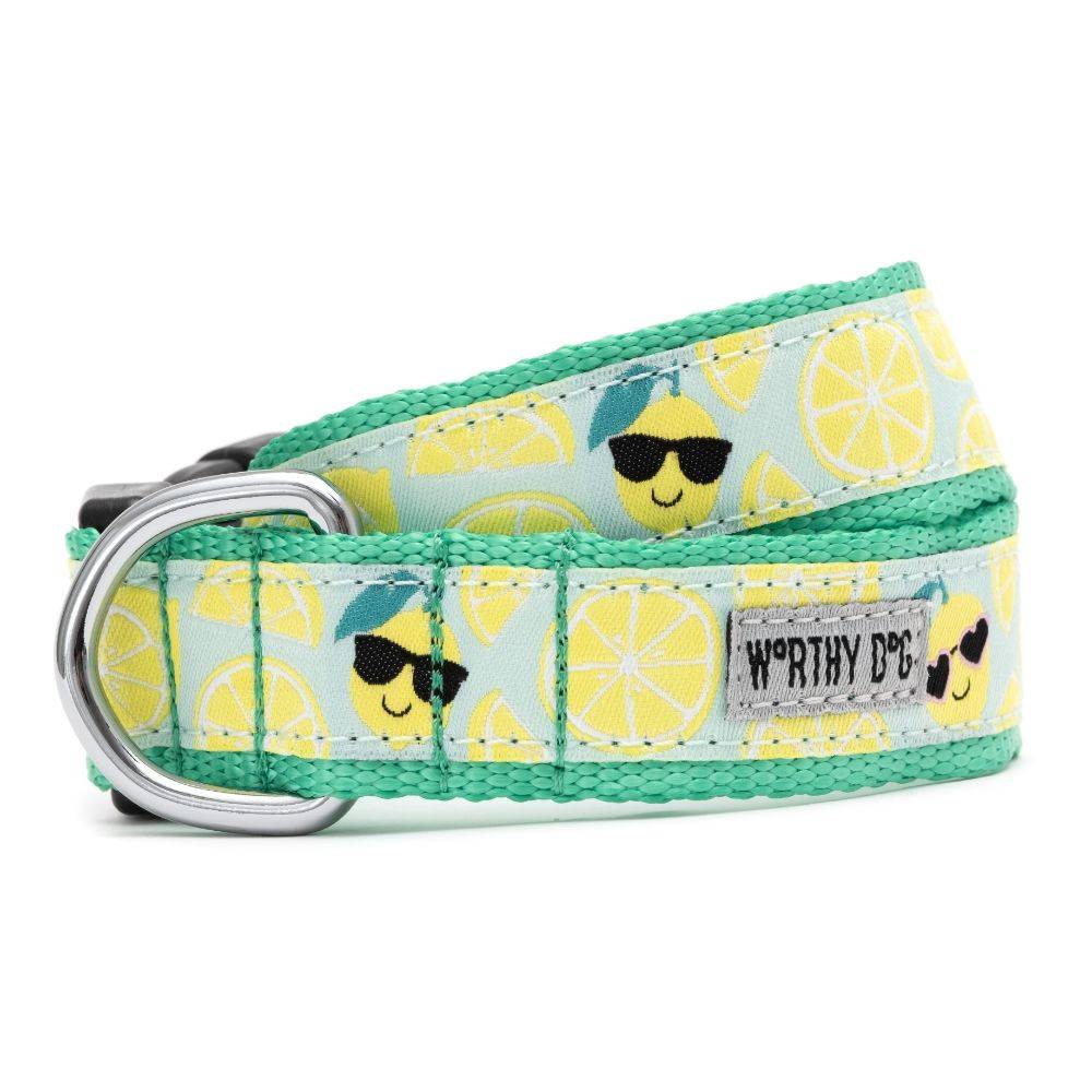 Lemons Collar & Lead Collection Default Title