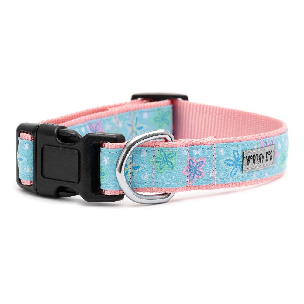 Starfish Floral Collar & Lead Collection