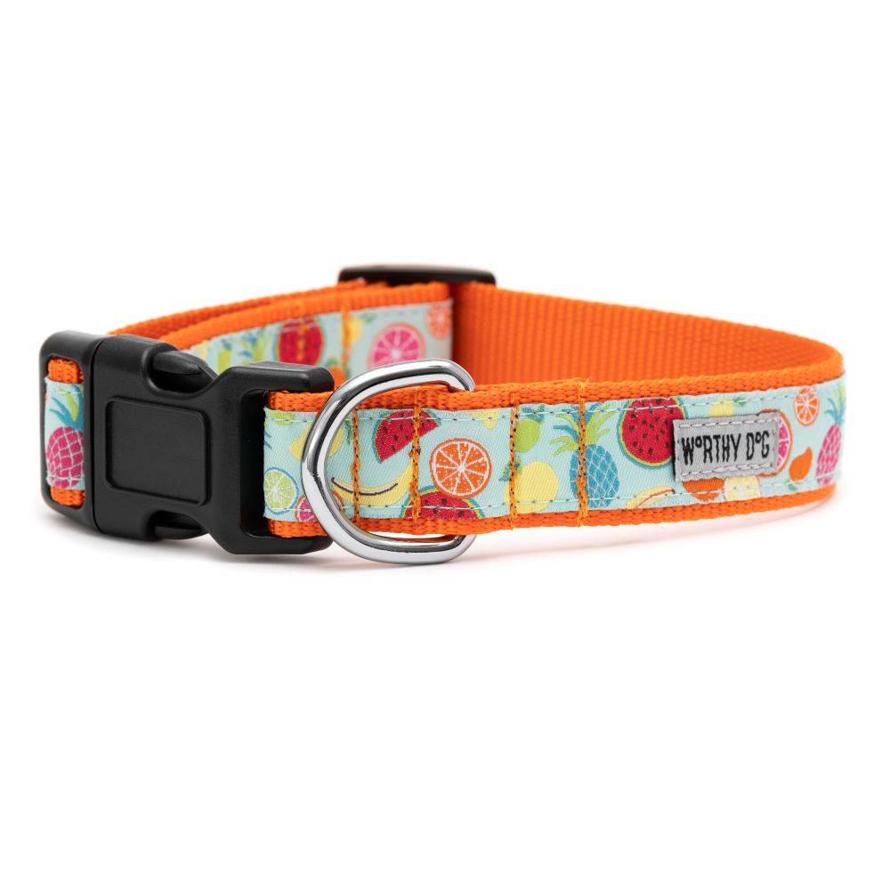 Tutti Frutti Collar & Lead Collection