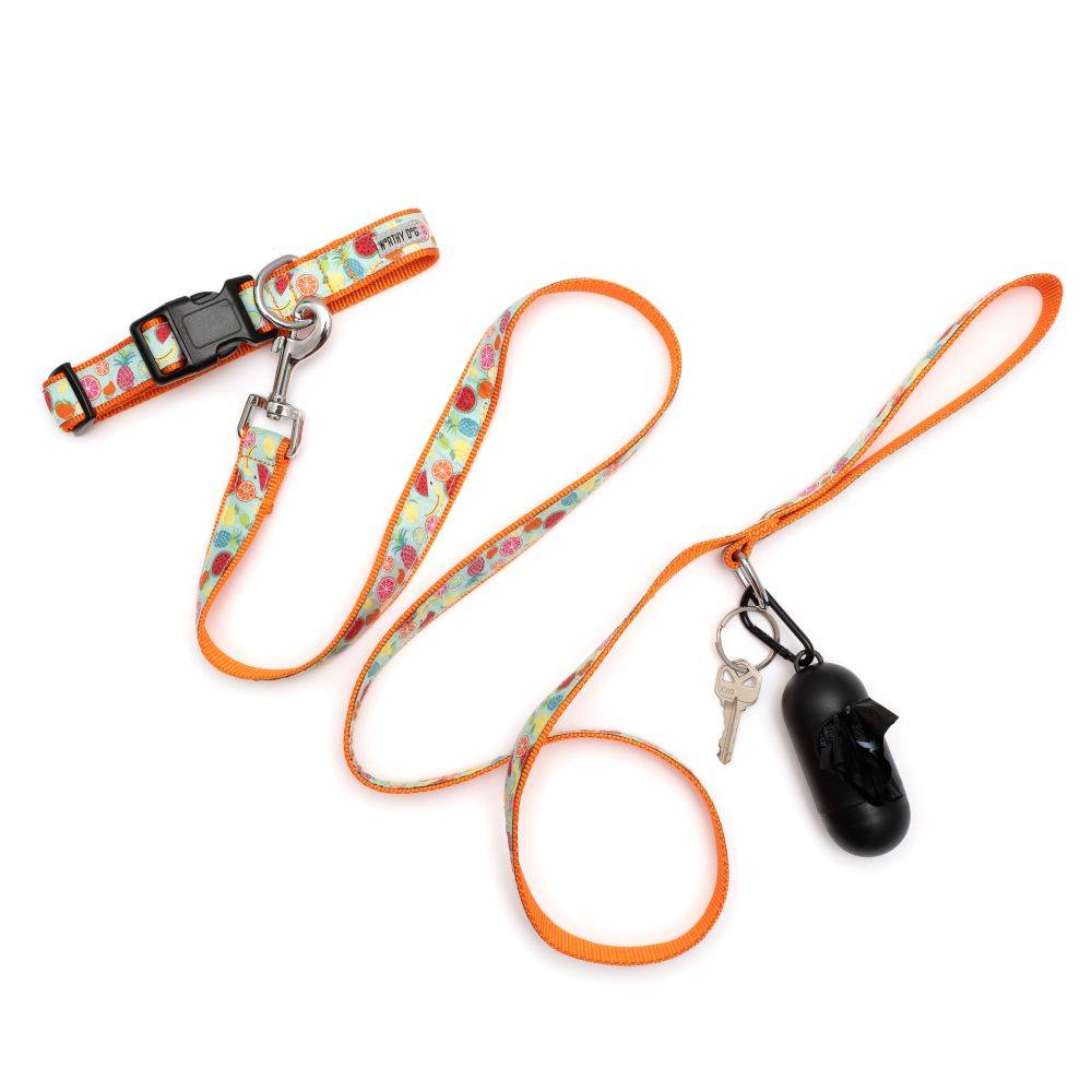 Tutti Frutti Collar & Lead Collection