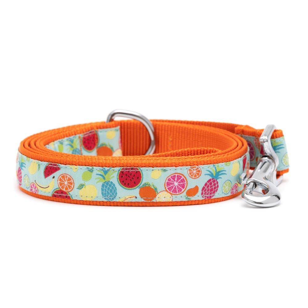 Tutti Frutti Collar & Lead Collection