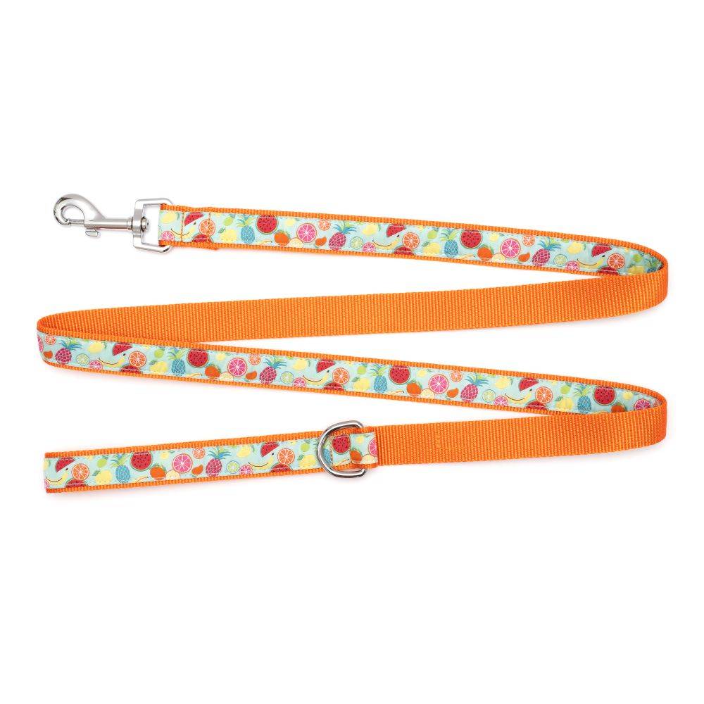 Tutti Frutti Collar & Lead Collection