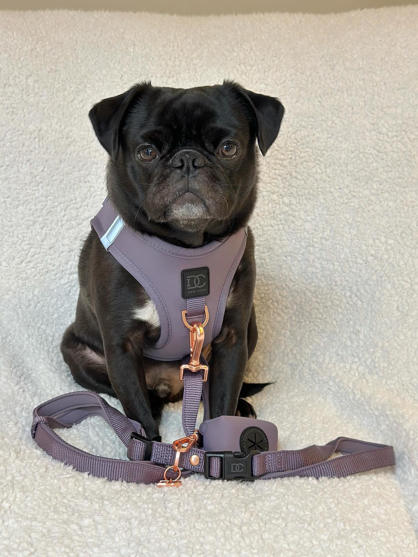 Luxe No Pull Step-In Dog Harness - Purple