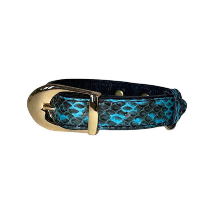 XS/S 7”-14” Turquoise & Black Custom Snake Collar/Custom Gold Italian Hardware