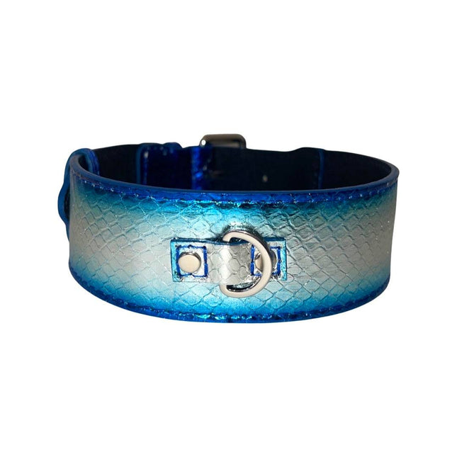 Multi-Tone Blue & Silver Snake Classic Collar