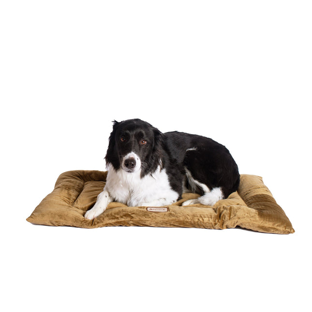 Armarkat M01CHL-L Large Pet Bed Mat Dog Crate Soft Pad With Poly Fill Cushion Sage Green