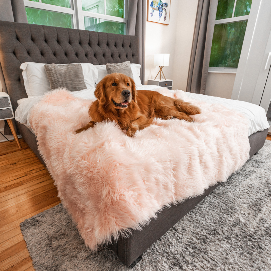 PupProtector™ Waterproof Throw Blanket - Blush Pink Paw.com