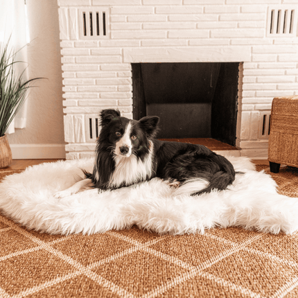 PupRug by Paw.com™ Faux Fur Orthopedic Dog Bed - Curve Polar White