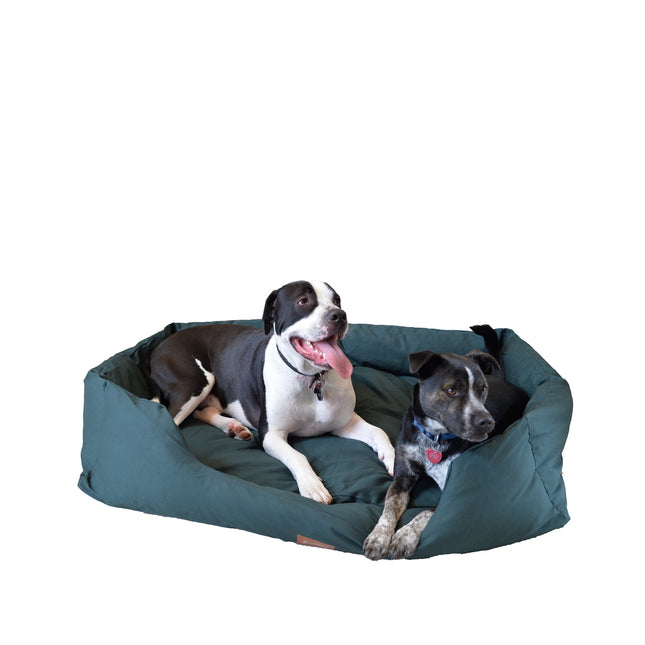 Armarkat Bolstered Dog Bed Anti-Slip Pet Bed Laurel Green X-Large