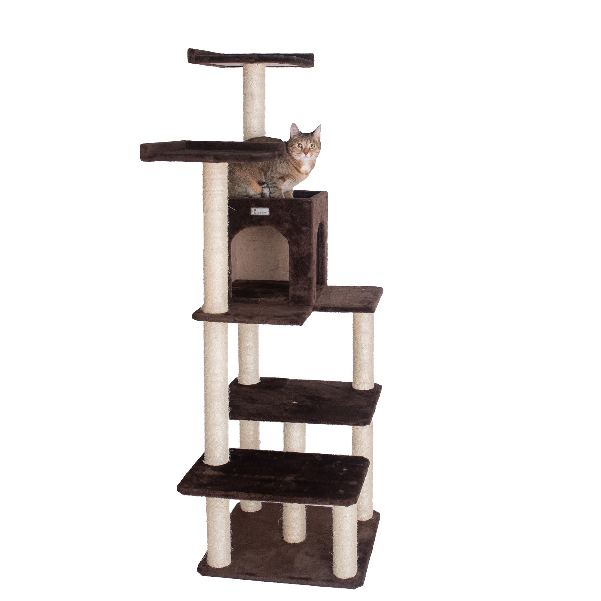 GleePet GP78680723 66-Inch Cat Tree In Coffee Brown With Four Levels, Two Perches, Condo