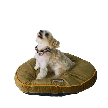 Armarkat Pet Bed Pad Poly Fill Dog Cushion Bed Sage Green