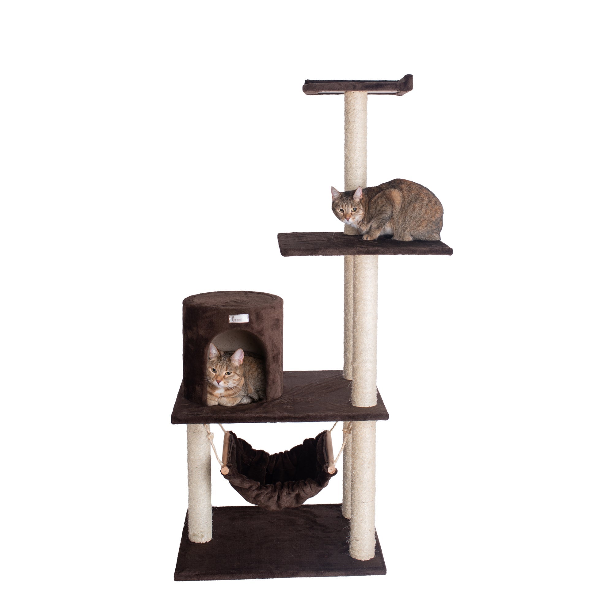 GleePet GP78590223 59-Inch Cat Tree In Coffee Brown With Condo And Hammock