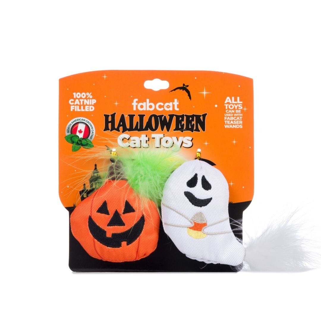 Pumpkin/Ghost 2-Pack Cat Toy