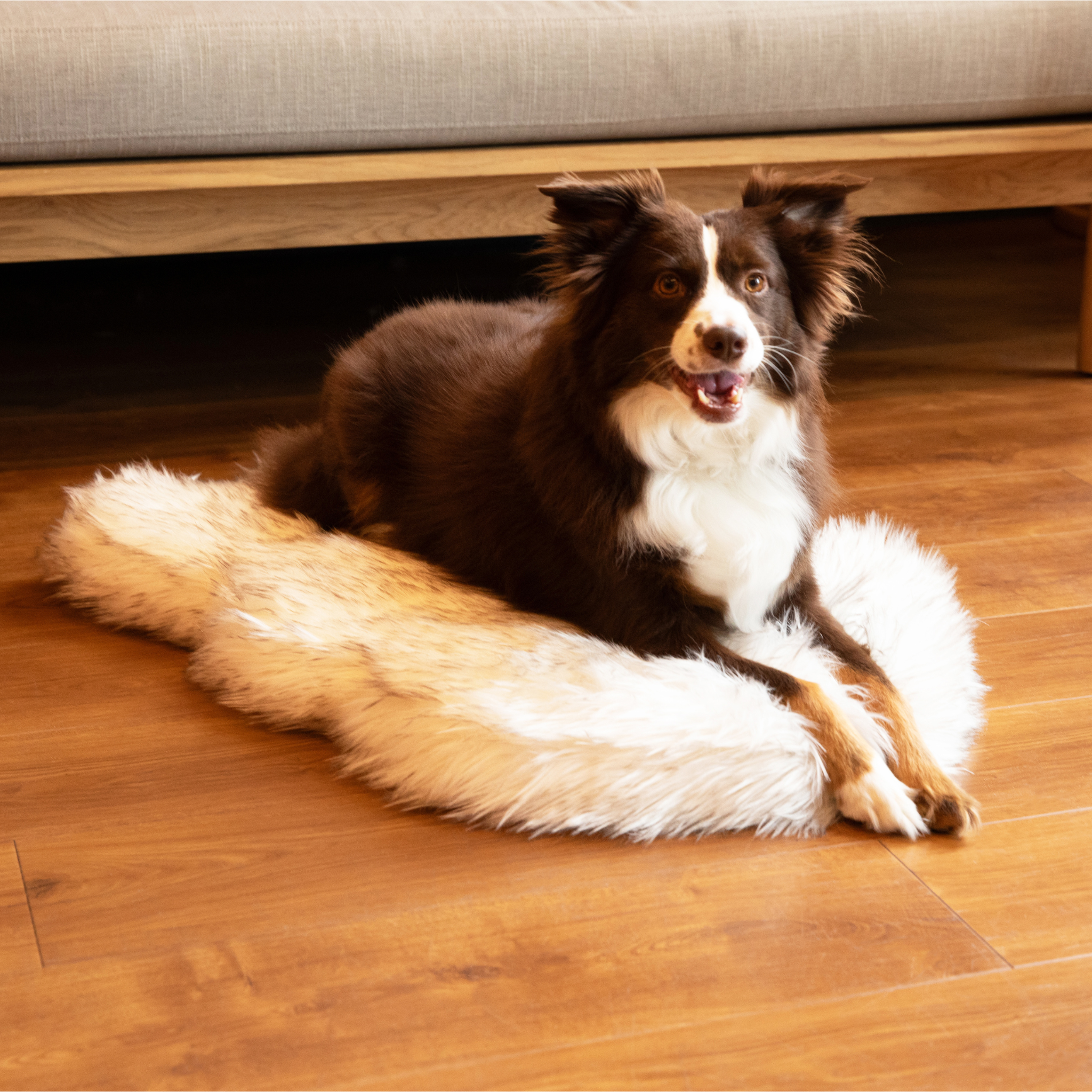 PupRug ™ Faux Fur Orthopedic Dog Bed - Curve White with Brown Accents