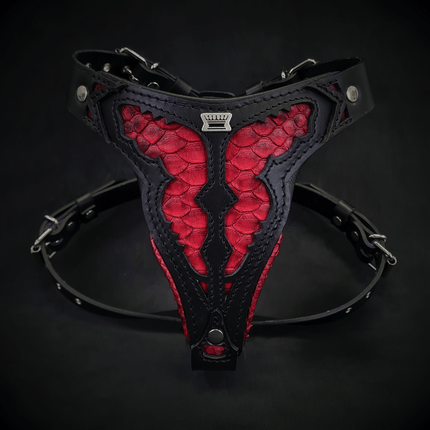 The ''Red Dragon'' harness Medium Size