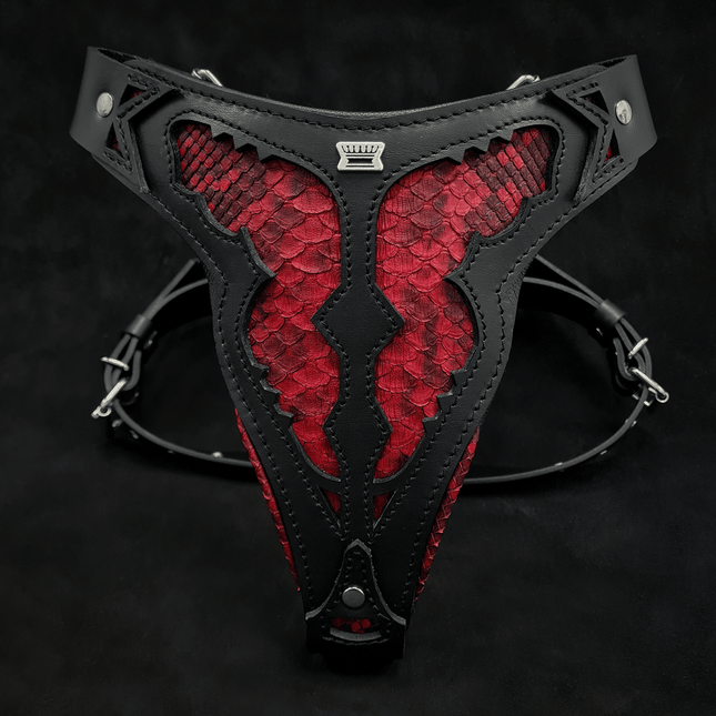 The ''Red Dragon'' harness