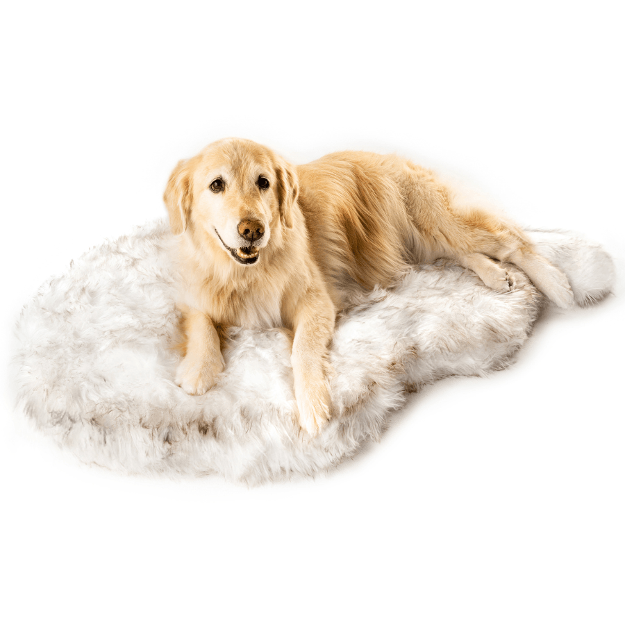 PupRug by Faux Fur Orthopedic Dog Bed - Curve White with Brown Accents