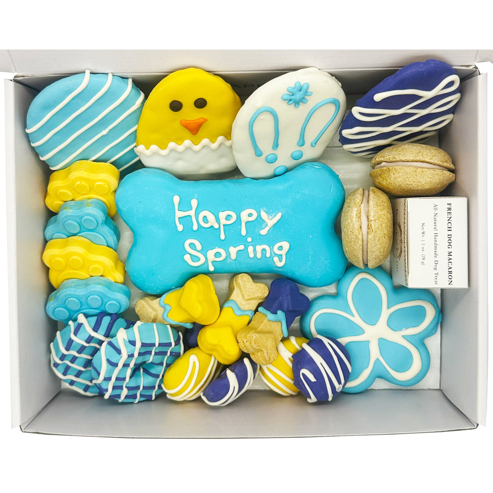 Spring Themed Dog Treats Gift Box