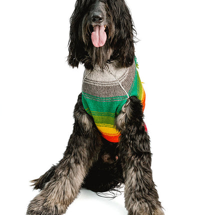 Rainbow Mohawk Dog Sweater