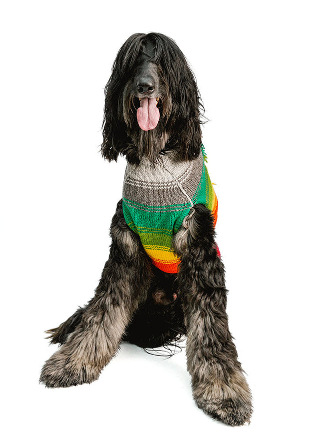 Rainbow Mohawk Dog Sweater