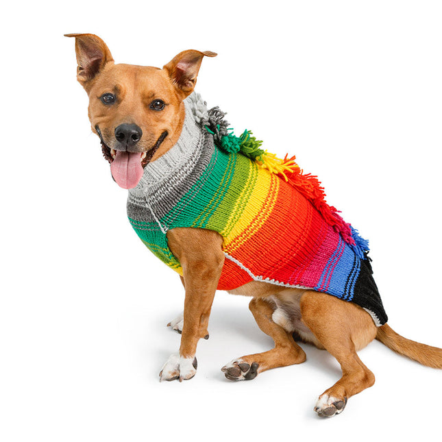 Rainbow Mohawk Dog Sweater