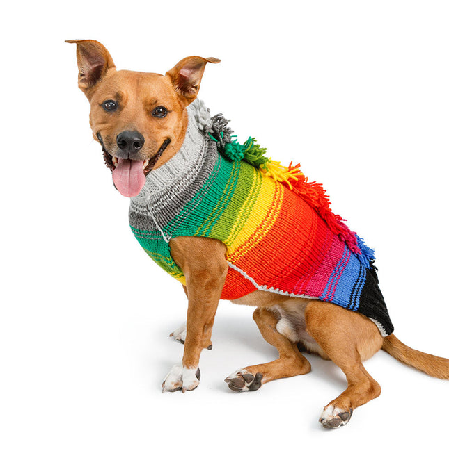 Rainbow Mohawk Dog Sweater