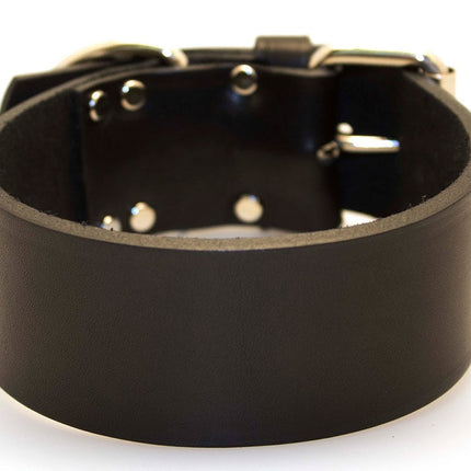 2" Latigo 1-Ply Leather Collars