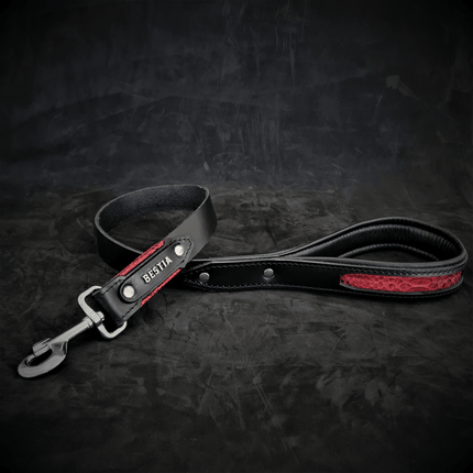 The ''Red Dragon'' leash