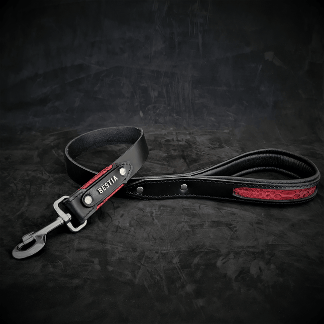 The ''Red Dragon'' leash