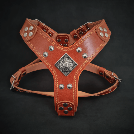 The ''Eros'' harness brown Small to Medium Size