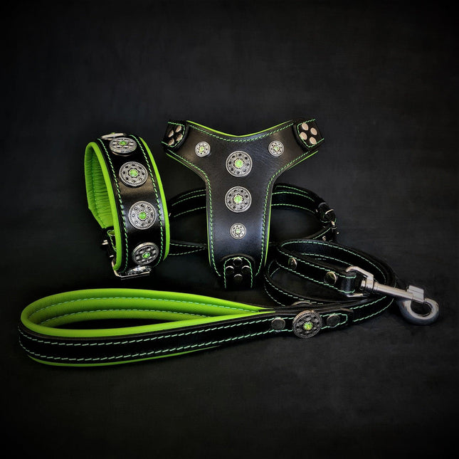 The ''Bijou'' SET - Collar, Harness, Leash. Green