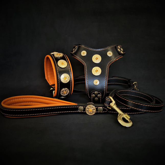 The ''Bijou'' SET - Collar, Harness, Leash. Orange