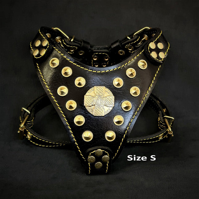 The ''Maximus'' harness Black & Gold Small to Medium Size