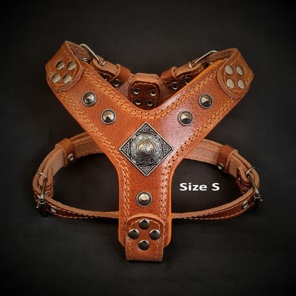 The ''Eros'' harness brown Small to Medium Size