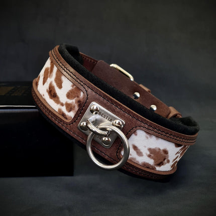 "Buffalo" collar LIMITED