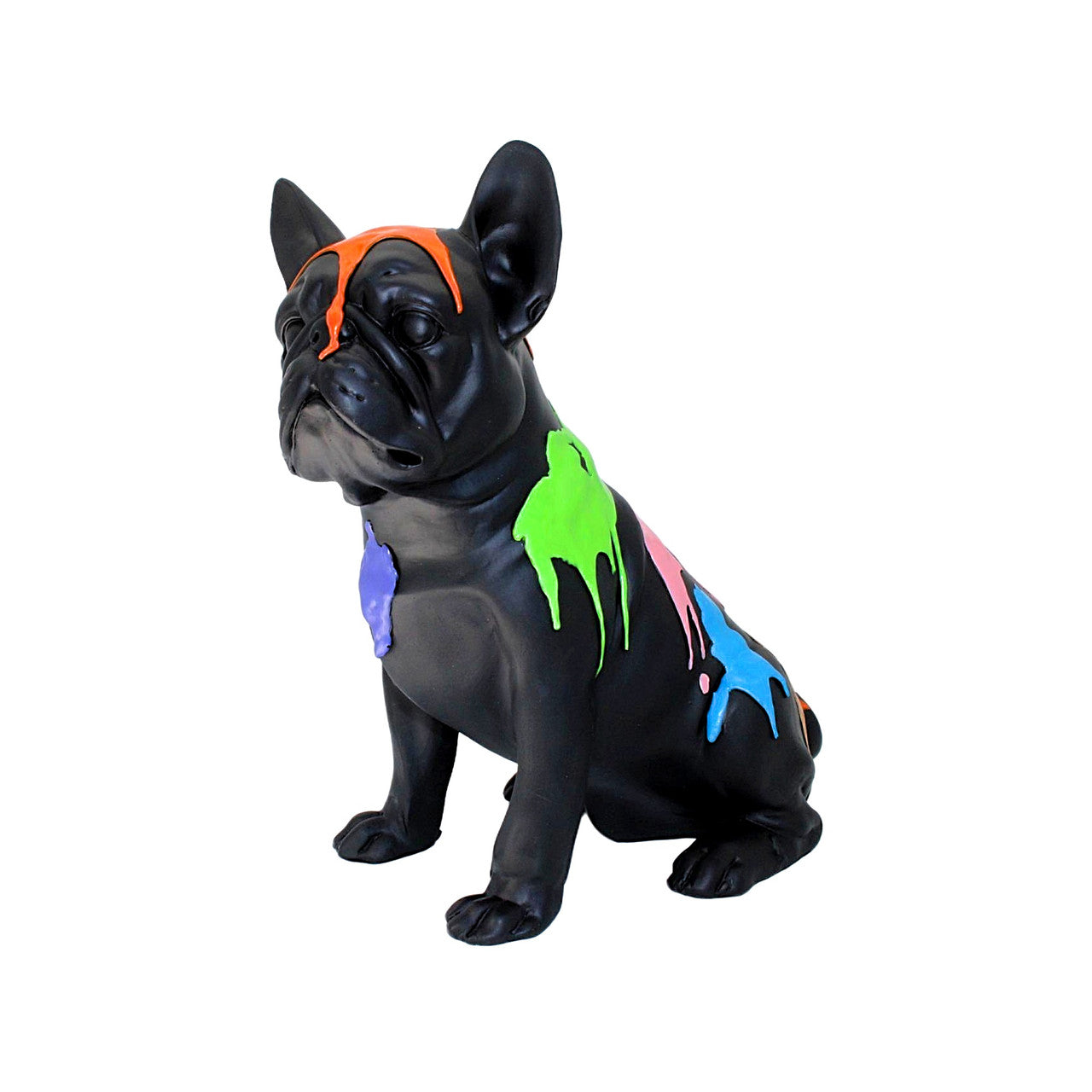 Sitting Vivid French Bulldog - 11