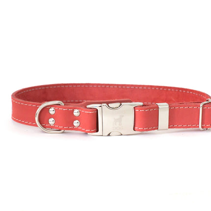 Bestseller Quick-Release Coral Reef Leather Dog Collar with Metal Buckle