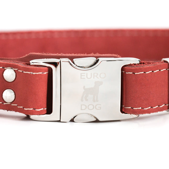 Bestseller Quick-Release Coral Reef Leather Dog Collar with Metal Buckle